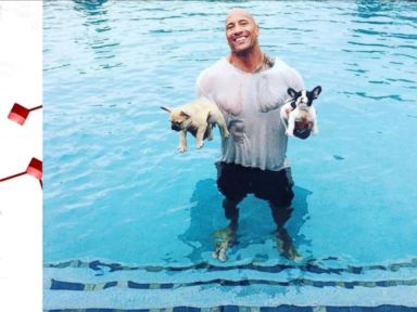 VIDEO: Dwayne 'The Rock' Johnson Shares Adorable Videos of His Lazy Puppies on Instagram